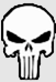 The Punisher